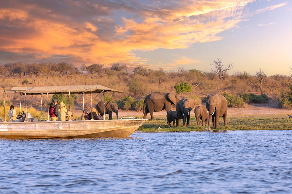 Safari guests watch a herd of elephants gathered at the water’s edge during a boat safari along the Chobe Riverfront in northern Botswana