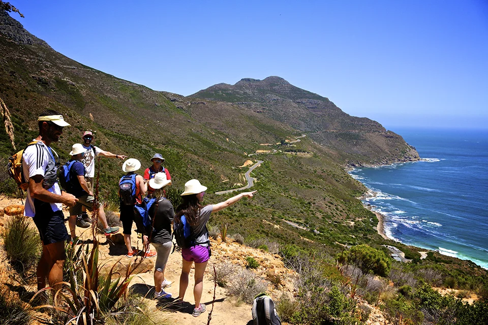 Hikers overlooking the rugged coastline and Atlantic Ocean near Hout Bay, Cape Town