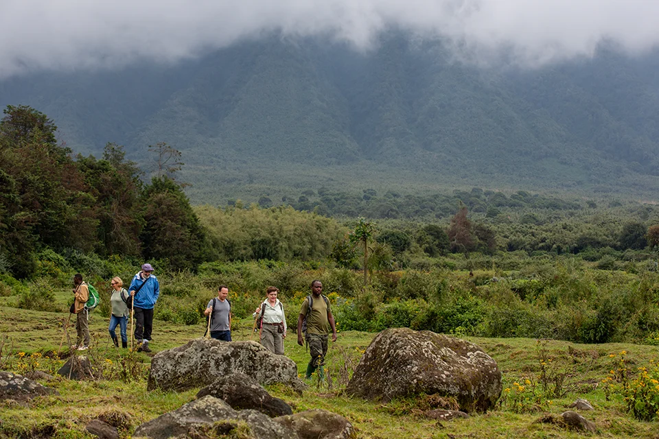 Group of trekkers and guides walking across open grassland dotted with large boulders beneath mist-covered volcanic slopes in Volcanoes National Park.