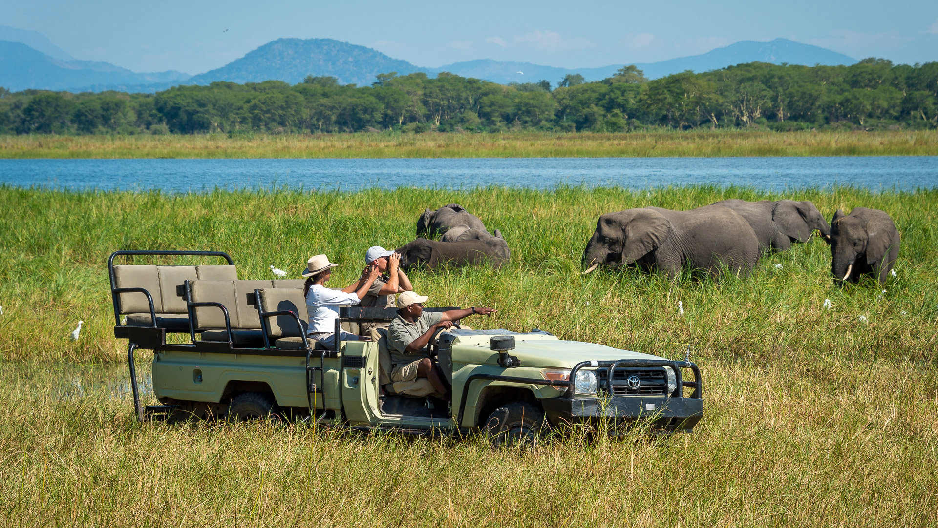 Malawi safari