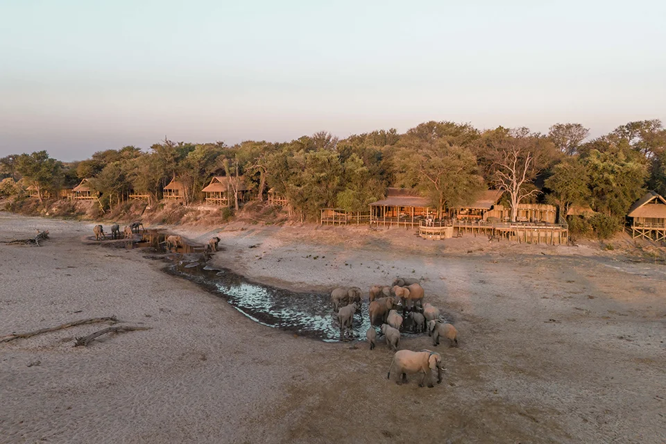 A herd of elephants gathers around a waterhole in front of a safari lodge surrounded by trees