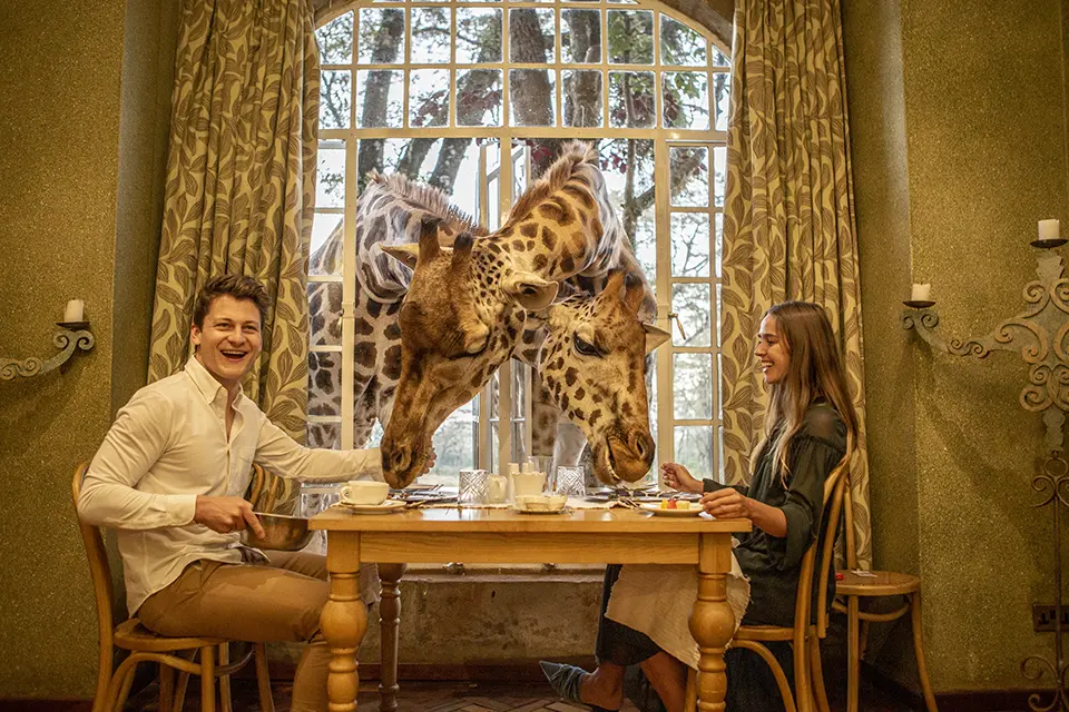 Giraffe manor