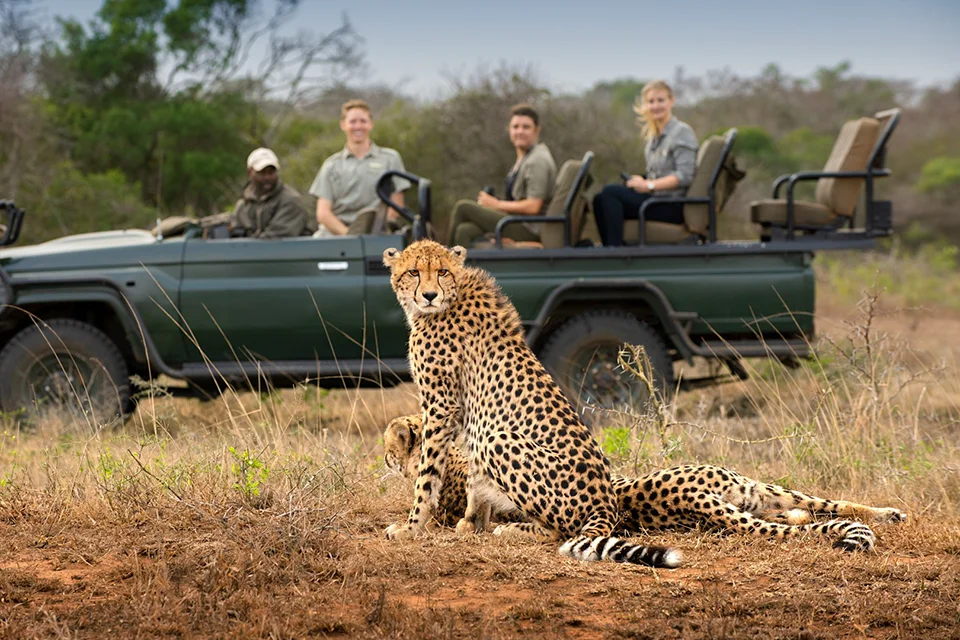 Phinda Private Game Reserve