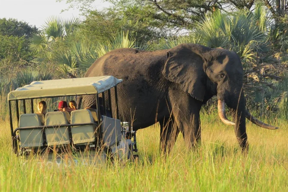 Tembe Elephant Park