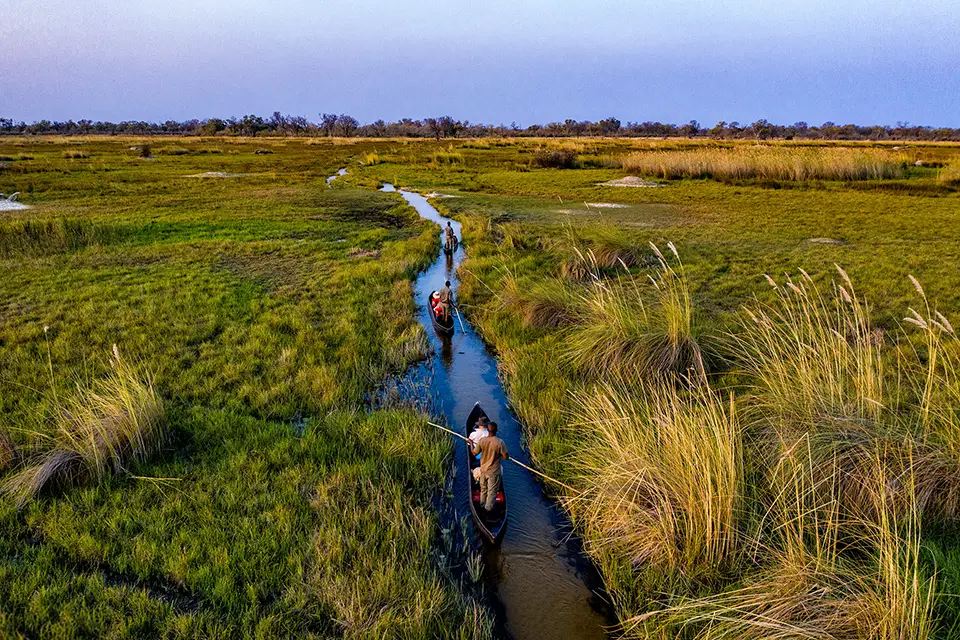 Mokoro through the Okavango Delta