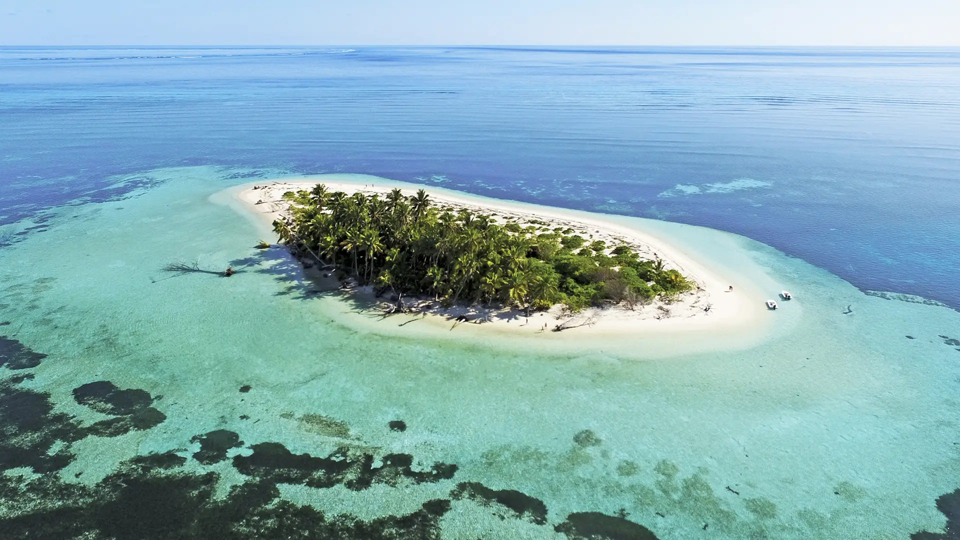 Island holidays bush and beach