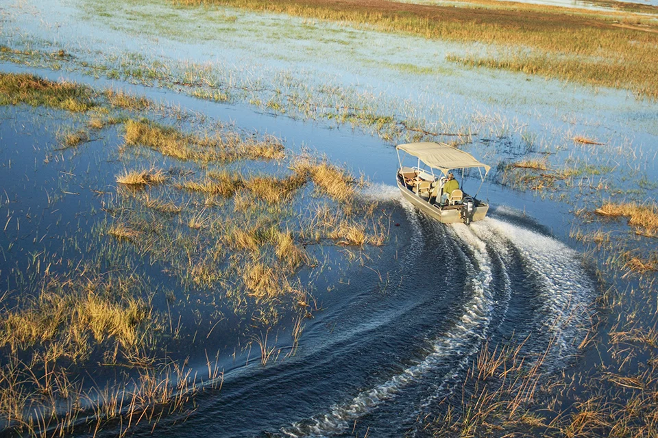 A motorboat glides through the reed-filled waterways of the Okavango Delta during a safari