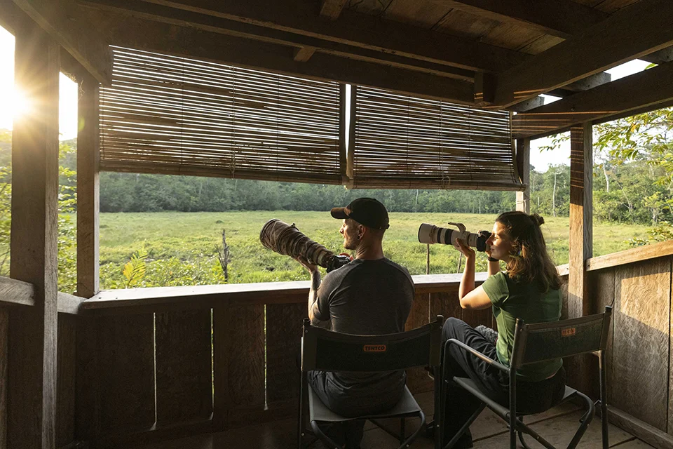 Guests photographing wildlife from a viewing hide overlooking a forest clearing in Odzala-Kokoua National Park, Republic of the Congo