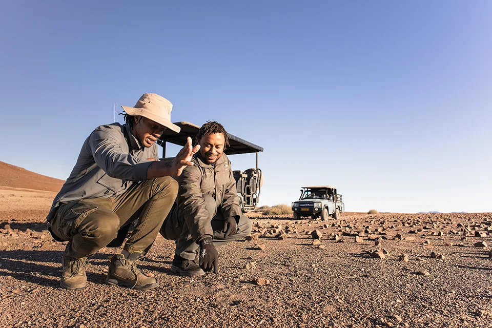 Two safari guides examining animal tracks in the rocky desert landscape during a rhino-tracking excursion at Desert Rhino Camp in Damaraland, Namibia