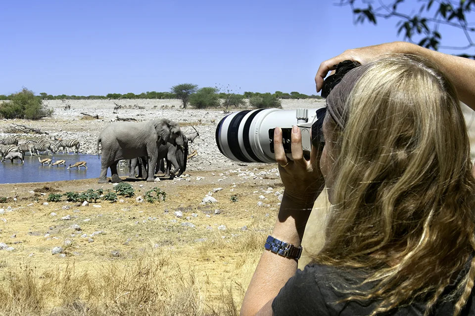 Guest photographing elephants and other wildlife at a waterhole in Etosha National Park, Namibia