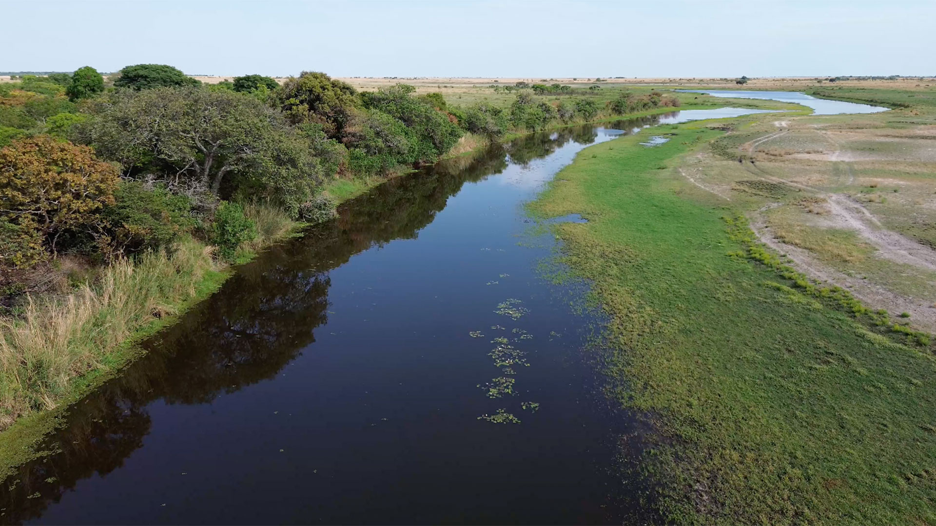 Luxury Zambian safari