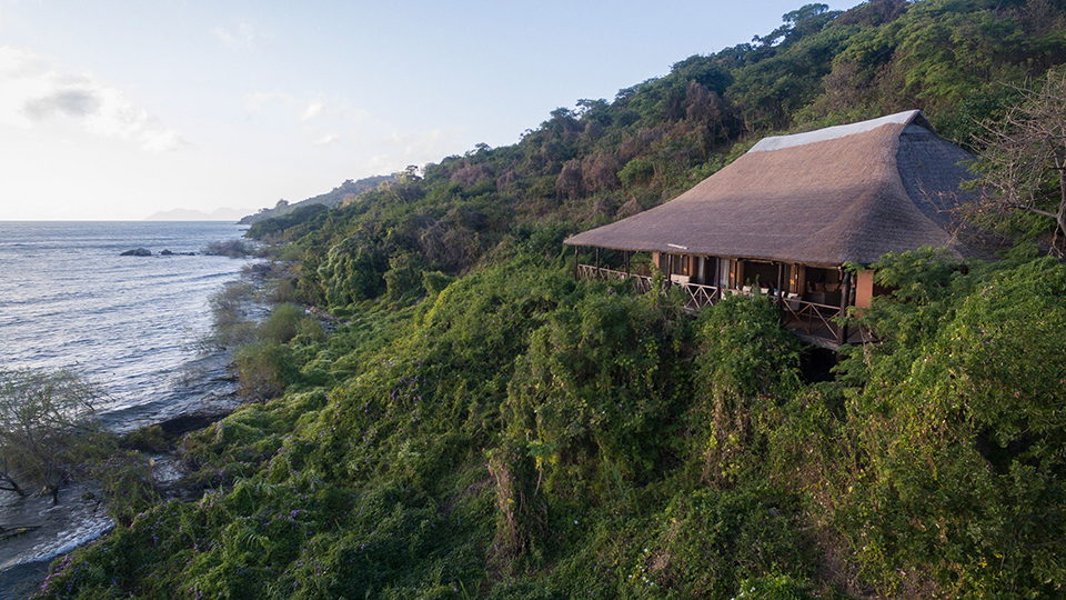 Malawi safari