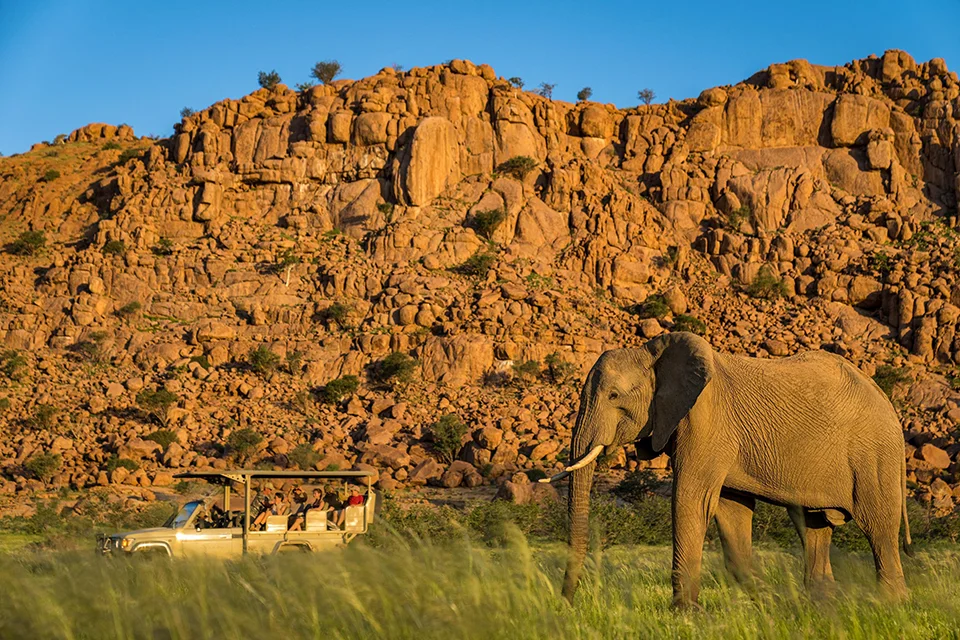 Desert-adapted elephant beside a safari vehicle on a game drive near Camp Kipwe in Namibia’s Damaraland