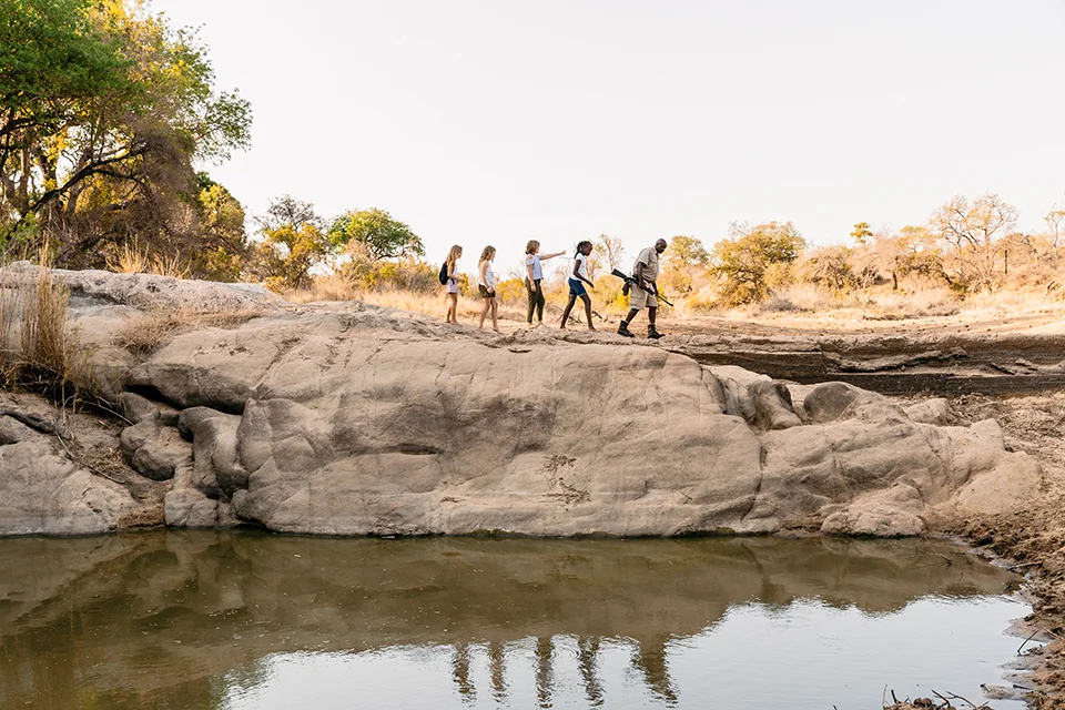 Family on a guided walking safari beside a waterhole in the African bush