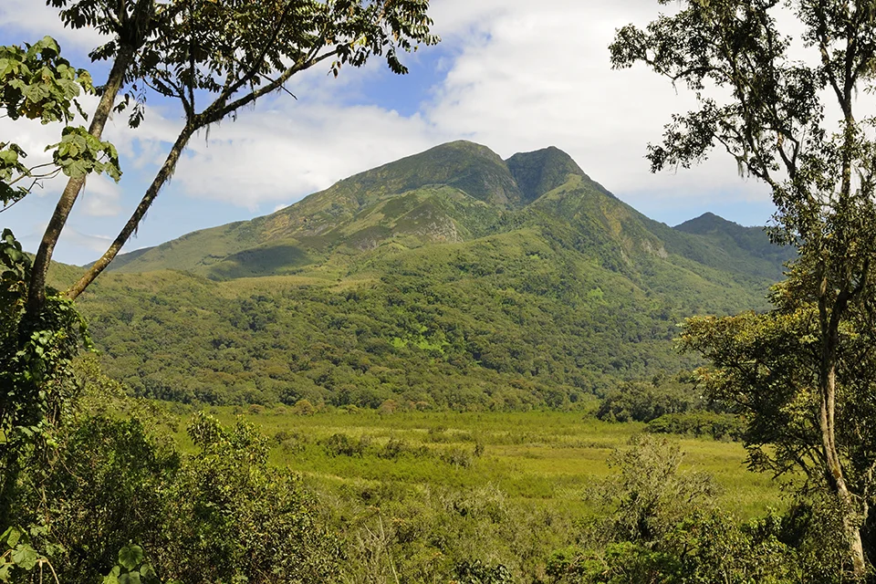 Forest-covered mountain rising above a broad green valley, framed by trees at the edge of Kahuzi-Biega National Park
