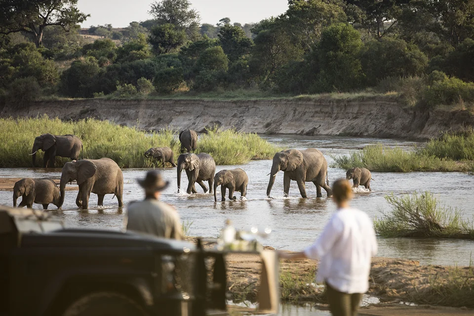 A herd of elephants, including several calves, crosses a shallow river as safari guests watch from the riverbank
