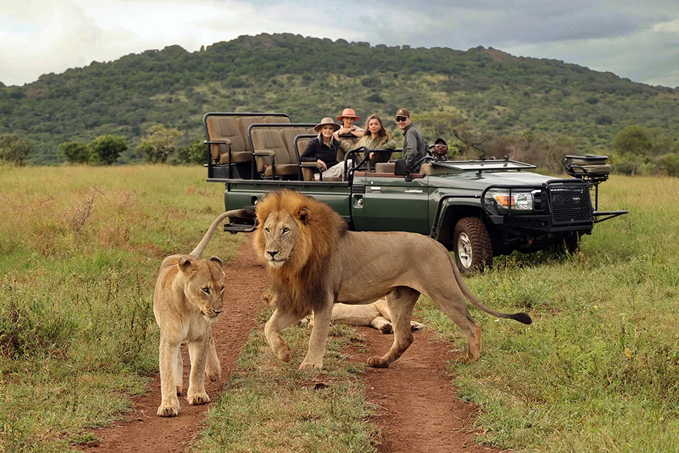 Thanda Safari