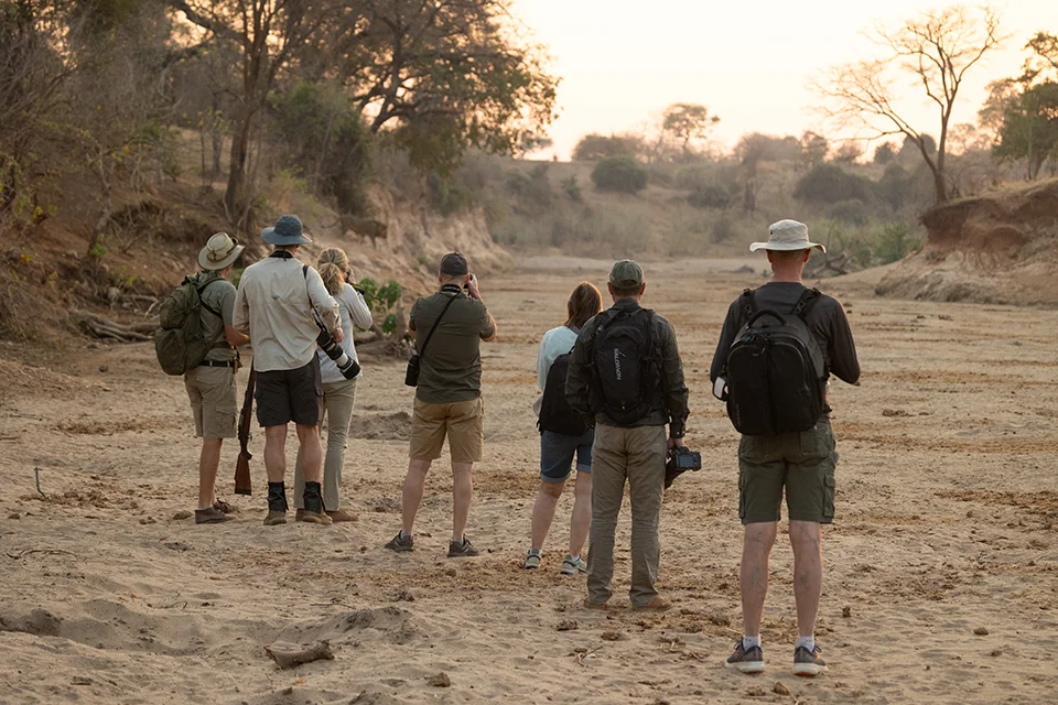 Safari guests on a guided walking safari at Chitake Springs in Mana Pools National Park, Zimbabwe