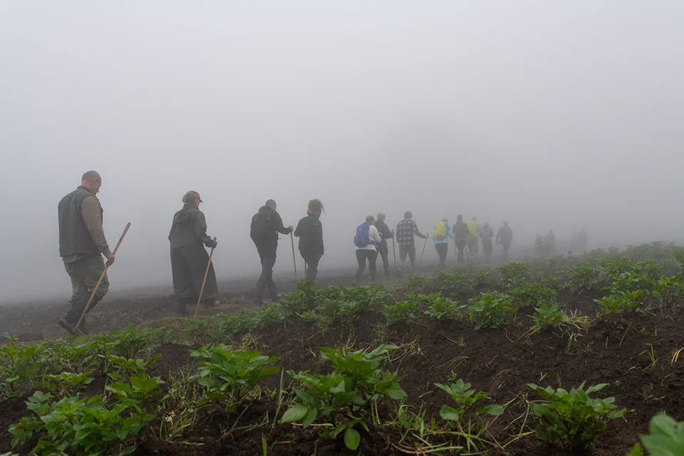 Guests trekking through misty farmland on their way to see mountain gorillas in Rwanda
