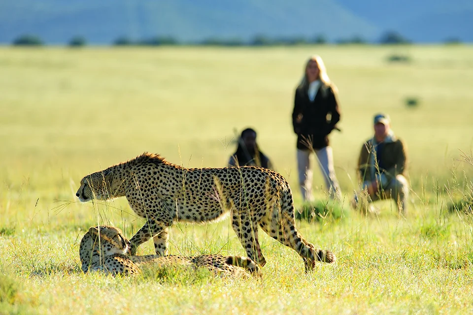 Eastern Cape