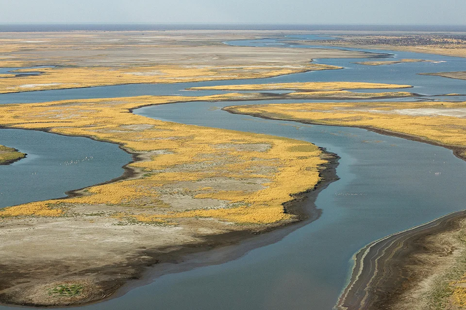 Aerial view of winding waterways and floodplains in Botswana’s Okavango Delta