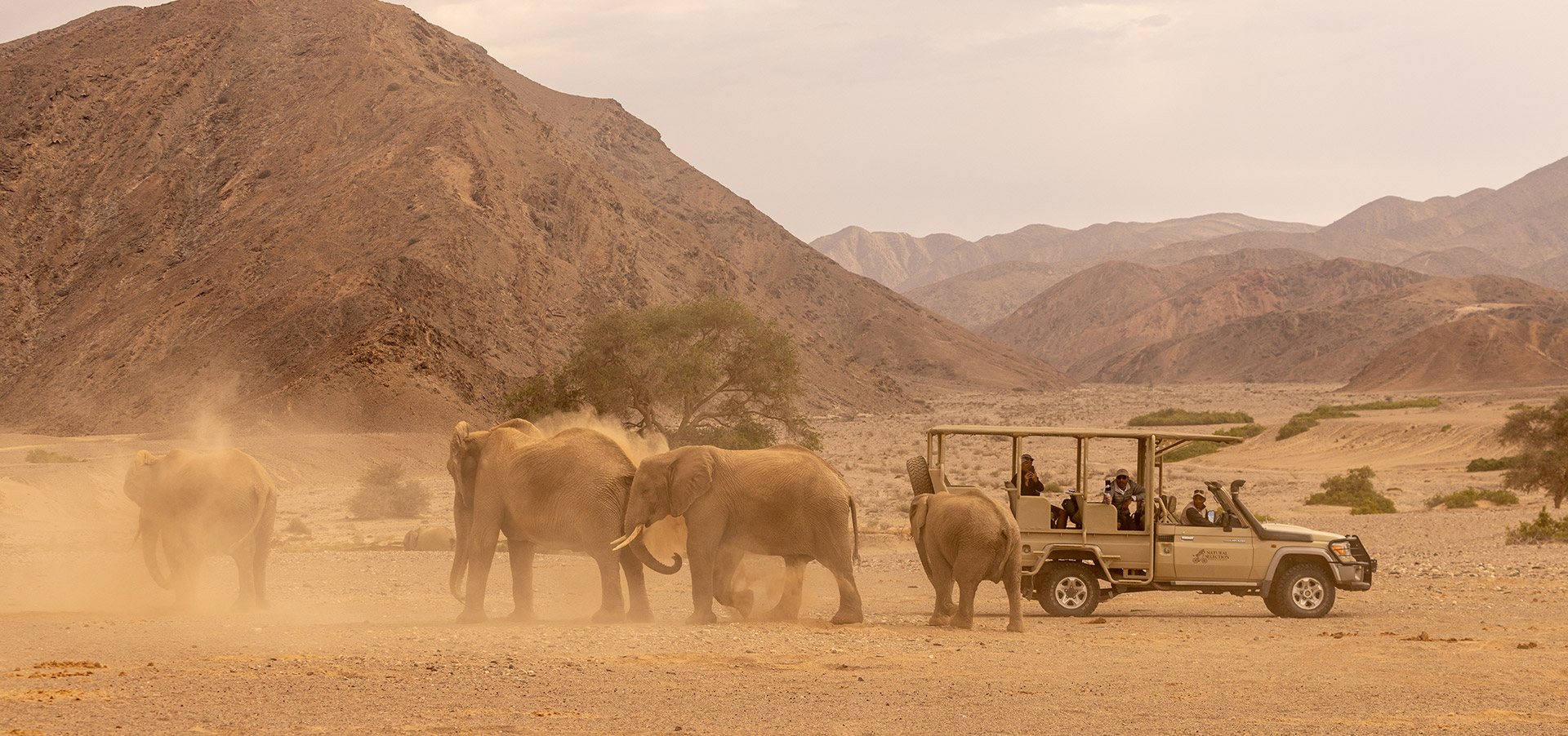 Namibia desert flying safari