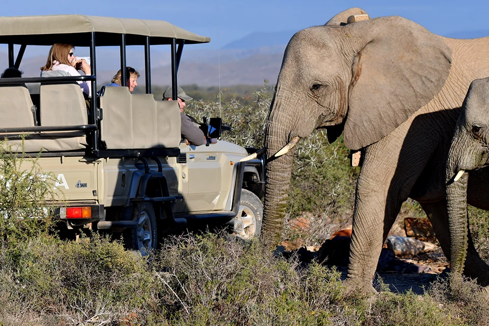Sanbona Wildlife Reserve