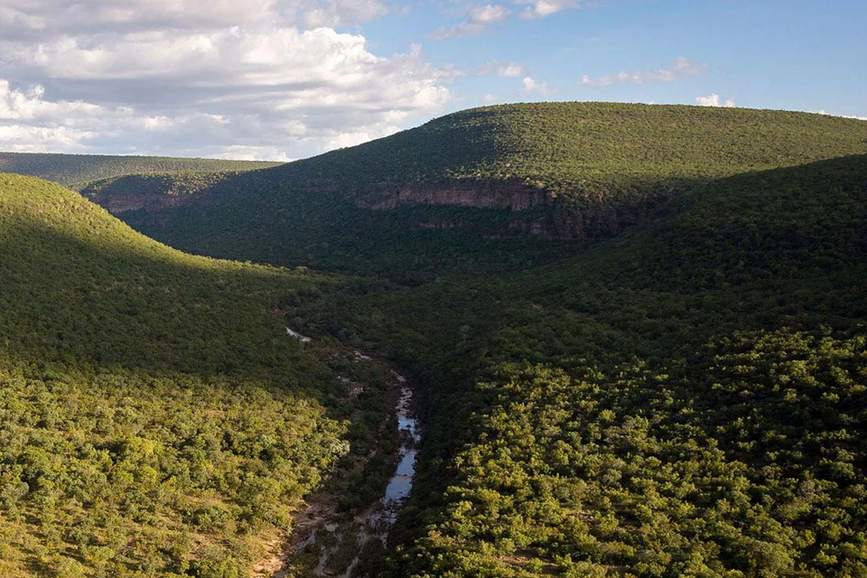 Waterberg
