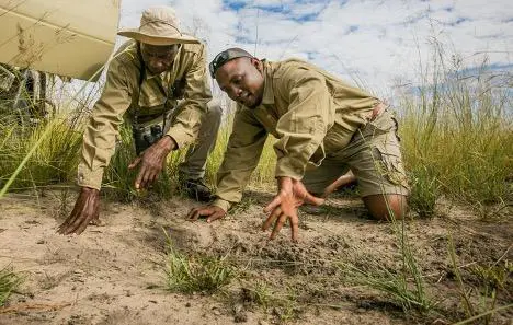 guides in botswana