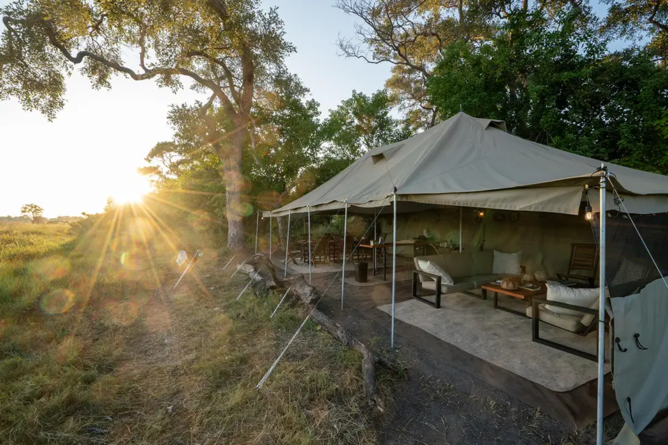 safari camp in botswana