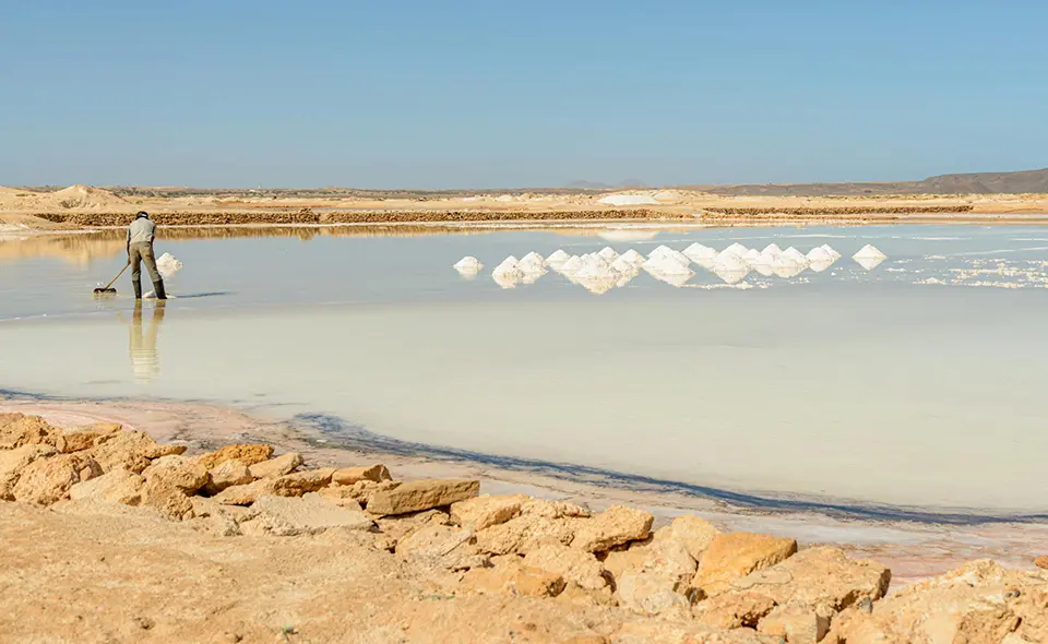 Botswana salt pans