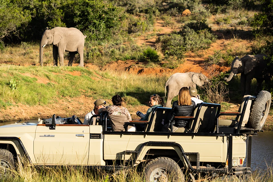 Lalibela Wildlife Reserve