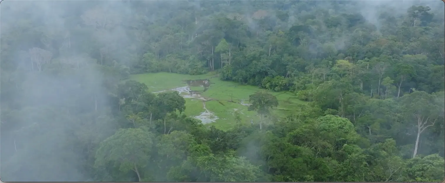 Aerial of a bai in Odzala-Kokoua Congo-Brazzaville