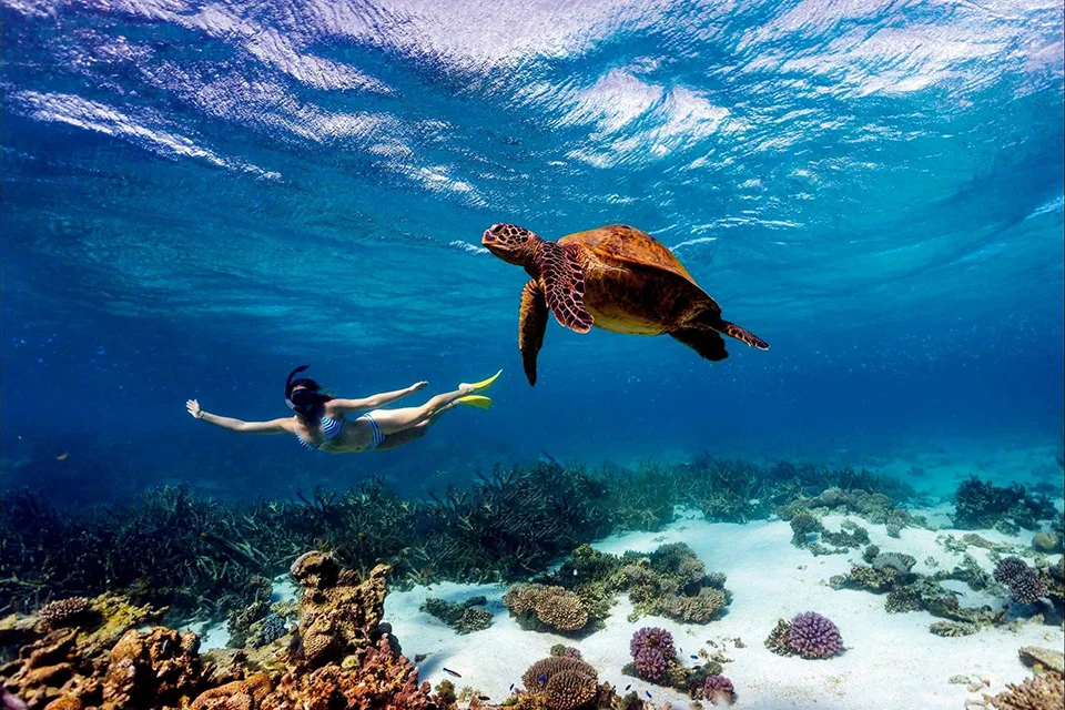Kenya Beaches