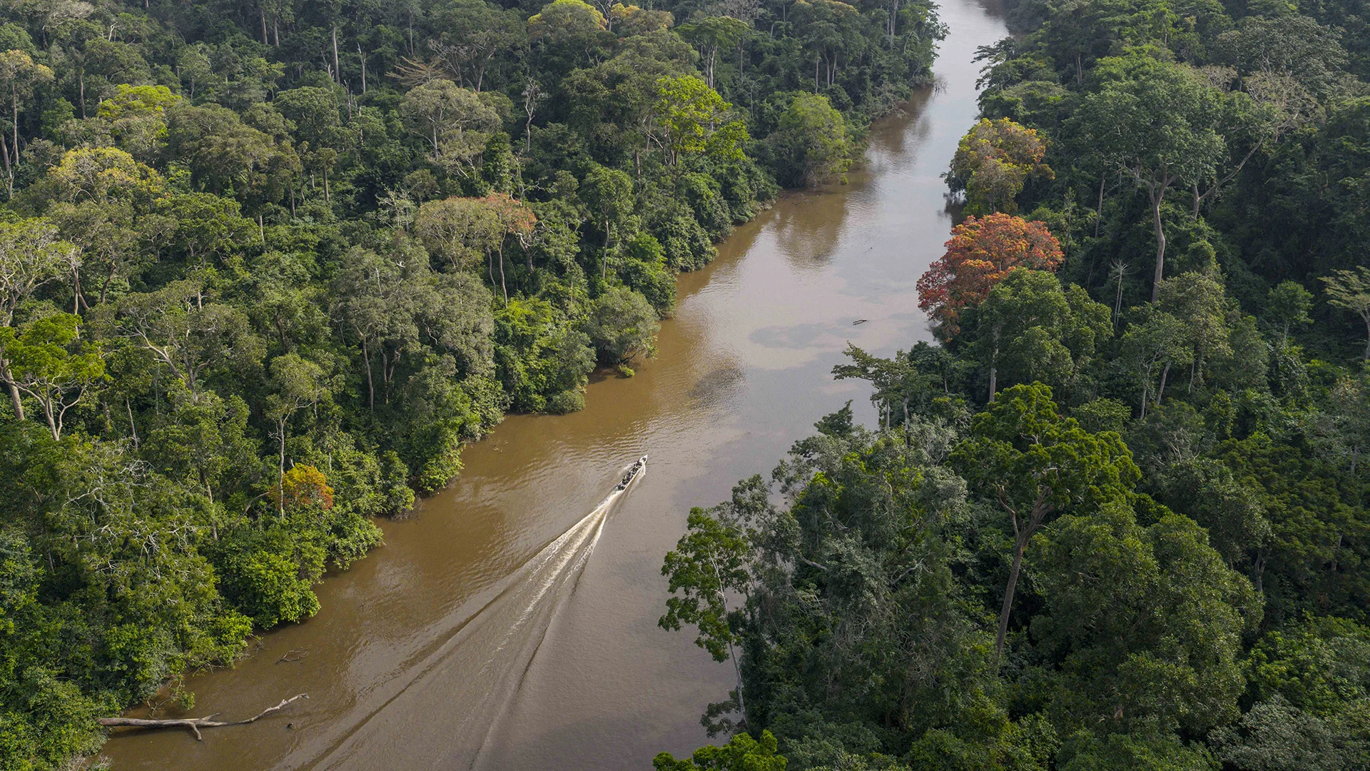 Motorboat travelling along a rainforest river in Odzala-Kokoua National Park, Republic of the Congo