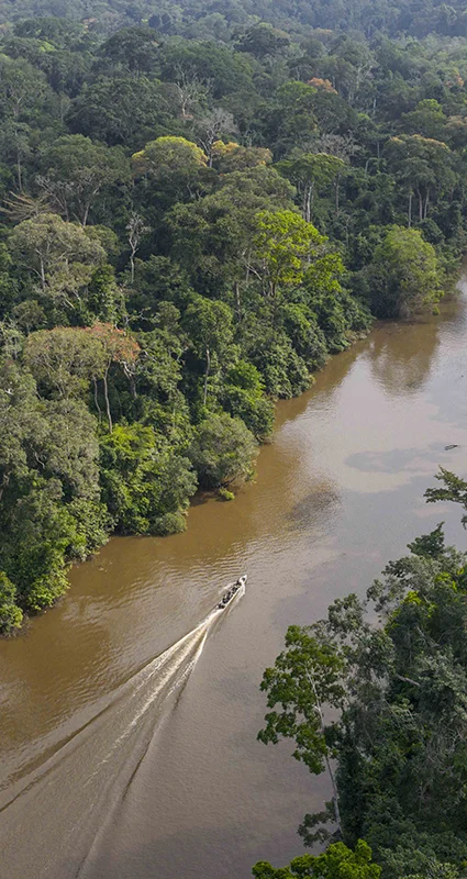 Motorboat travelling along a rainforest river in Odzala-Kokoua National Park, Republic of the Congo
