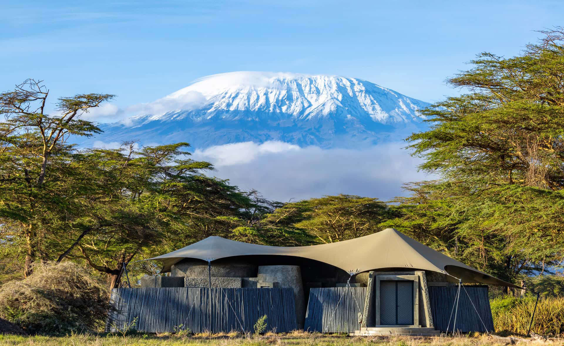 Kenya safari