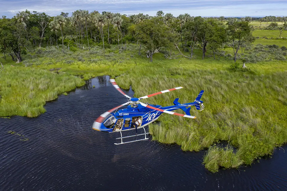 The ultimate Botswana safari