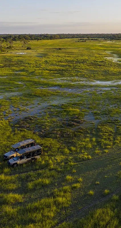 Bostwana safari trip