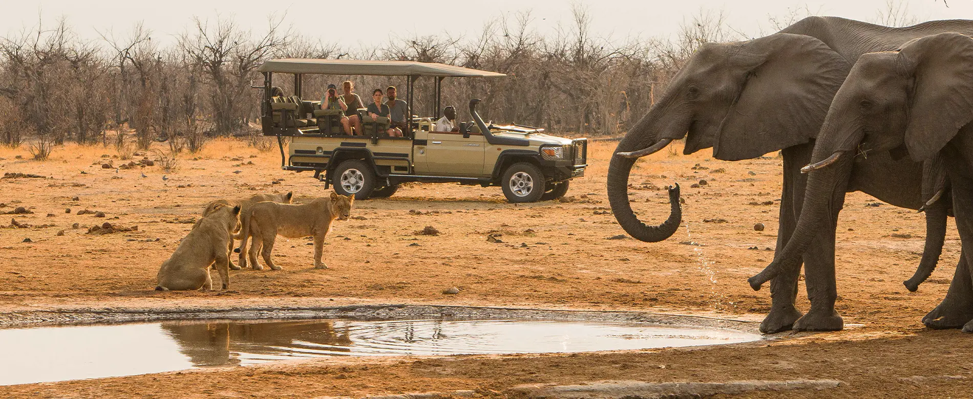 Botswana family safari