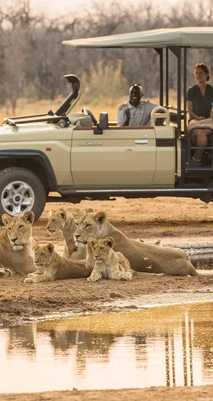 Botswana family holiday