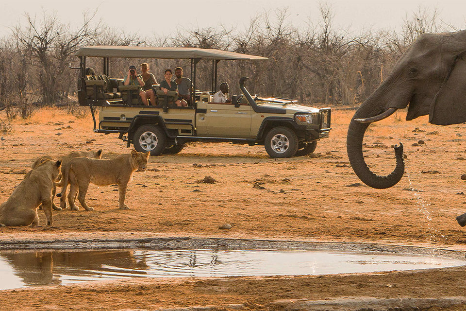 Botswana family adventure