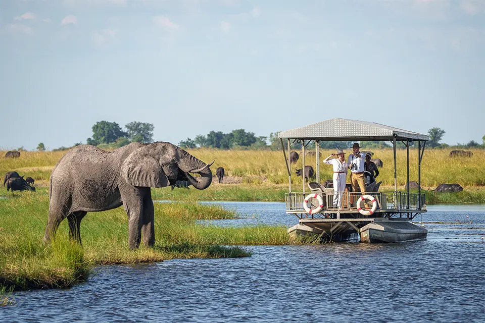 Botswana luxury honeymoon