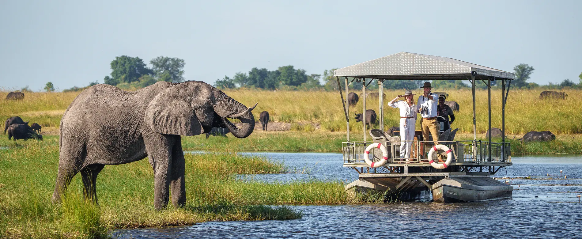 Botswana honeymoon safari
