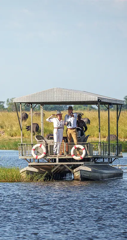 Botswana honeymoon safari