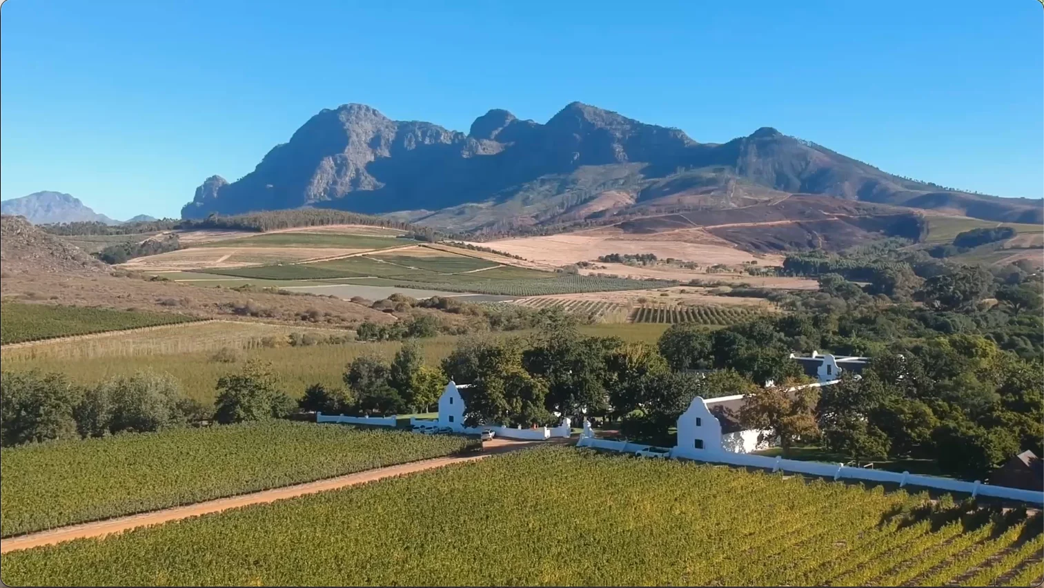 Cape Winelands farm from a drone