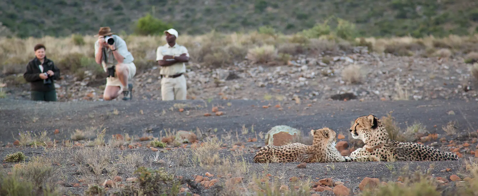 Samara Karoo Reserve