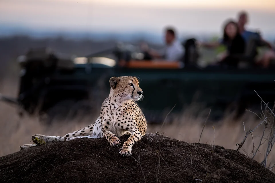 Grumeti Game Reserve