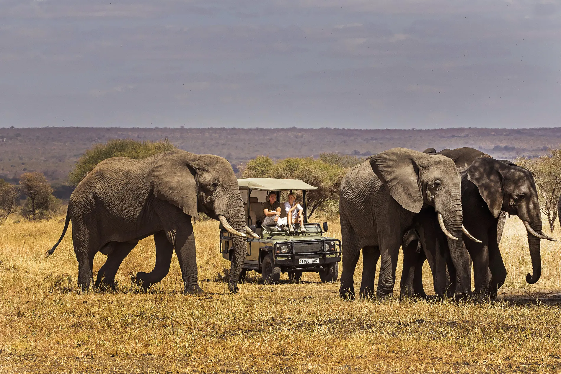 Africas best safari destinations