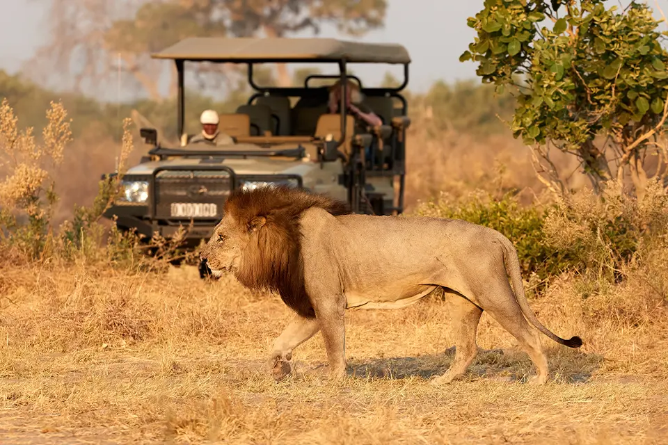 Chobe National Park